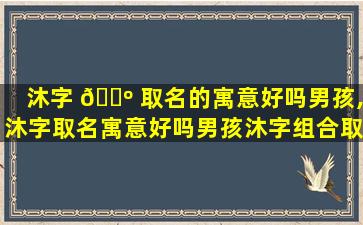 沐字 🐺 取名的寓意好吗男孩,沐字取名寓意好吗男孩沐字组合取名